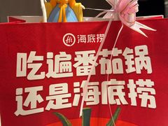 -海底捞火锅(巴黎春天浦建店)