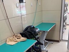 -北京观赏动物医院·24小时大型综合·猫专科·异宠专科
