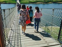 -羊亭河湿地公园