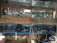 -德叔阙里·衢州菜馆(月湖店)