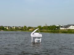 -杭州湾海上花田景区