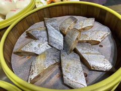 -海中洲渔社