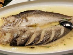 单鲍大黄鱼-咸亨酒店(和平店)