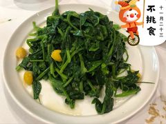 银杏豌豆尖-眉州东坡(民族园店)