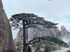 -黄山风景区