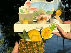 -苏小糖(鼓浪屿三丘田花园店)