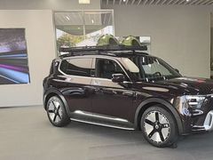 -上海浦东smart汽车全功能店(金桥店)