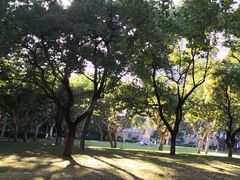 -同济大学四平路校区游泳馆
