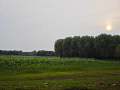 -东郊湿地公园