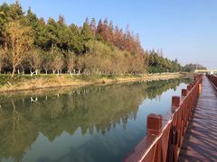 -上海根宝足球基地售票处