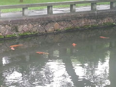 android_upload_pic-杭州西湖柳莺里酒店