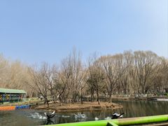 -长白岛森林公园