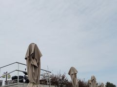 -江湾神木园
