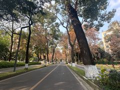 -四川大学(望江校区)