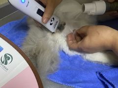 -瑞派蒂凯宠物医院·免疫点·宠保定点