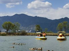 -野鸭湖国家湿地公园