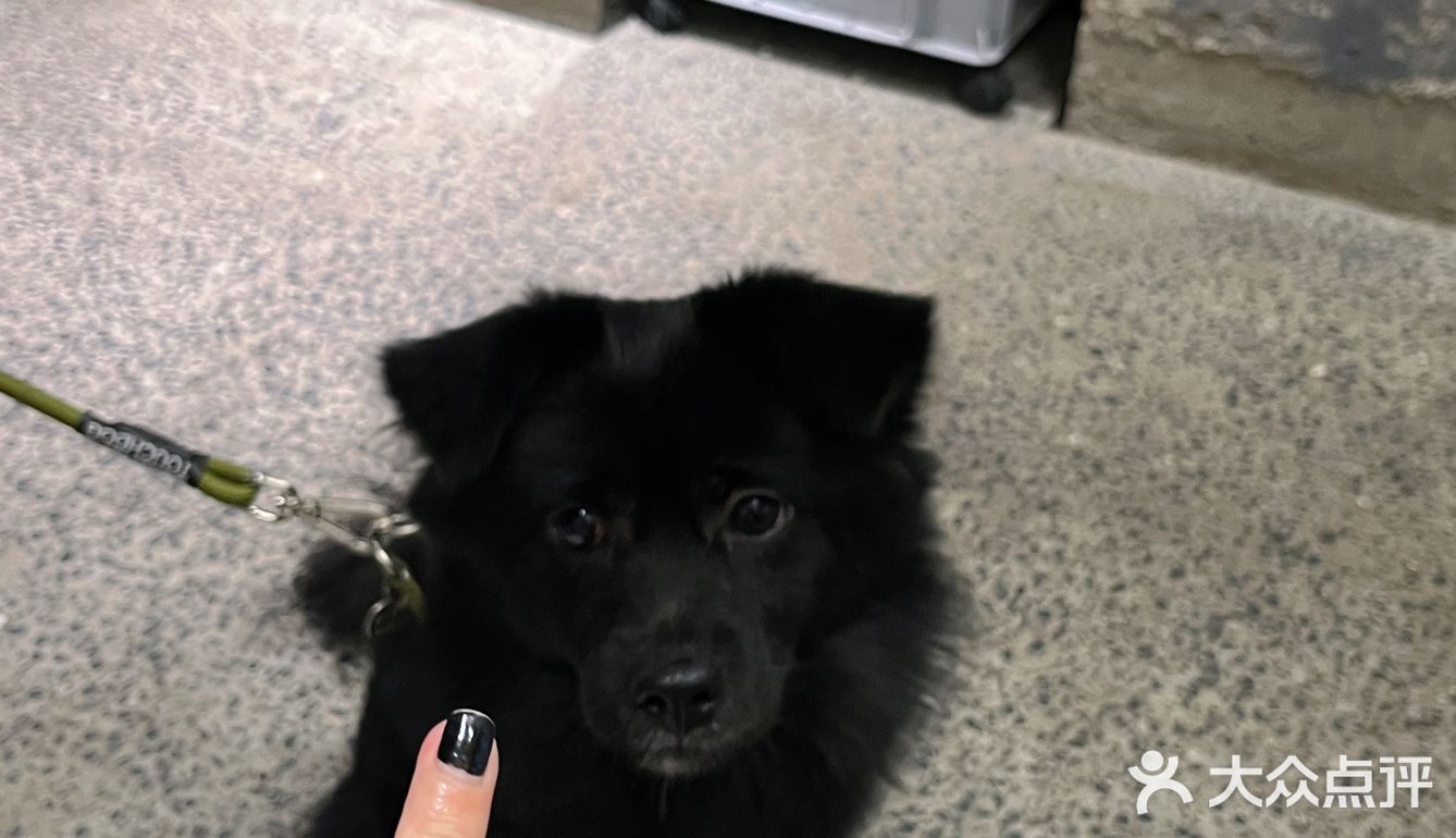 来看延平路吴磊🙋♀️