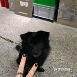 来看延平路吴磊🙋♀️