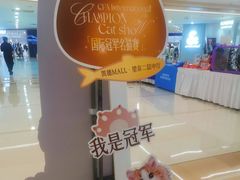 -凯德MALL(望京店)