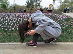 -长春公园(普阳街道)