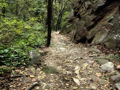 -大岭沟猕猴桃谷风景区