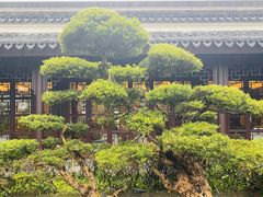 -杭州西子湖四季酒店-WL BISTRO西湖餐厅(灵隐路店)