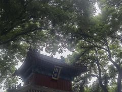 -广济寺