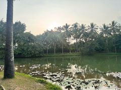 -中国科学院西双版纳热带植物园