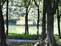 -海珠湖公园