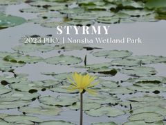 -大湾区中央湿地公园
