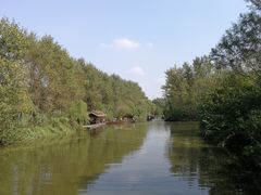 -溱湖国家湿地公园