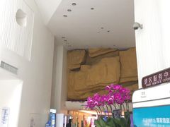 -深圳东部华侨城瀑布酒店