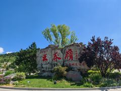 -王莽岭风景区