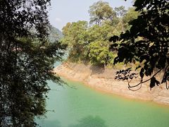 -广州市流溪河国家森林公园