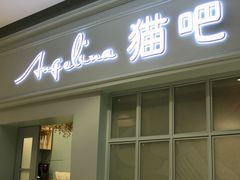 门面-安格丽娜·狗咖·猫咖羊驼咖(春熙路百盛商场店)
