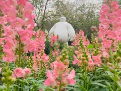 -天适樱花悠乐园