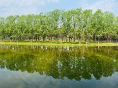 -东郊湿地公园