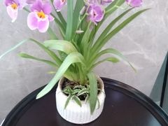 -团圆口腔·种植中心(锦江院区)