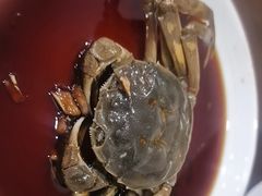 -红灯笼龙凤饭店(宁波老字号店)