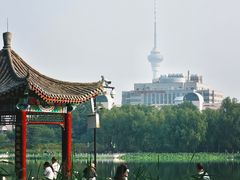 -莲花池公园