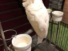 -四海楼(如皋定慧禅寺店)
