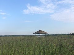 -西青郊野公园
