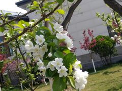 -雁滩公园