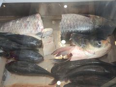 -老刘生态大鱼坊铁锅炖鱼(赛马场店)