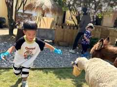 -HERRE·FARM 赫尔露营农场·团建聚会包场