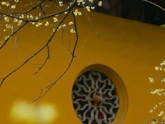 -西园戒幢律寺
