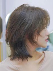 -IDOL-PLUS