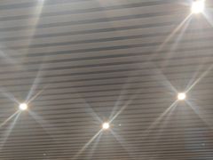 -麦盛莉大酒店·宴会厅(崇明南门如庭酒店)