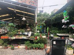 -曲阳花鸟市场(曲阳路店)