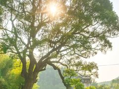 -江郎山风景名胜区